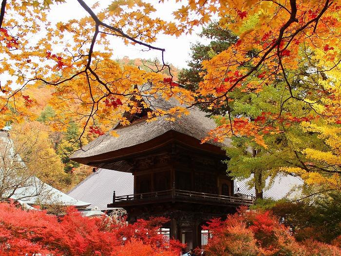 霊松寺の紅葉の写真