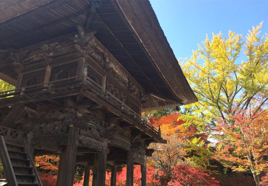 霊松寺の写真